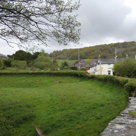 The Farmers Arms, Cwmdu Лланутин Экстерьер фото